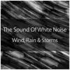 The Relaxing Sounds Of White Noise - The Sound of White Noise, Wind, Rain and Storms