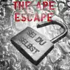 The Ape Escape - Sei du selbst