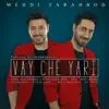 Mehdi Farahbod - Vay Che Yari (feat. Majid Farahbod) - Single