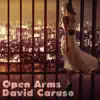 David Caruso - Open Arms - Single