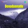 S. V. Rao - Devudunnadu (Original Motion Picture Soundtrack) - EP