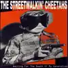 The Streetwalkin' Cheetahs - Waiting For The Death Of My Generation