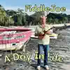 Fiddle Joe - A Day in Life