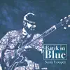 Scott Cooper - Batik in Blue