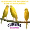 Banda De Musica Los Canarios - Cumbias Calientes