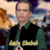 Amin Shabab - Wai Daldar Aamada