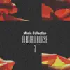 Various Artists - Music Collection. Electro House, Vol. 7