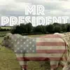 Magic Garden - Mr. President - Single