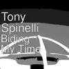 Tony Spinelli - Biding My Time - Single