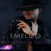 Emellio - What You Doin' - Single