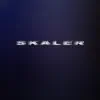 Skaler - Fake Life - Single