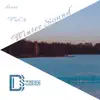 Various Artists - Winter Sound, Vol.3