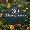 Dreamland Masters - 30 Relaxing Sounds: Gentle Sounds of Nature for Positive Energy, Relaxing Music for Deep Sleep, Meditation & Yoga, Self Hepnosis Therapy