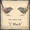 rgb & nørth_lord - 2 Much - Single