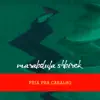 Marabdula Shbirek - Feia Pra Caralho (feat. Shakiria Gaga) - Single