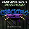 DM Beats & Gabi G - Speaker BOOM - Single