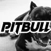 DEVENTO J BEATS - Pitbull - Single