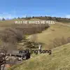 walking song - Way He Makes Me Feel - Single