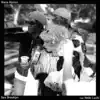 Nana Rizinni - Sao Brooklyn - Single (feat. Nello Luchi) - Single