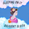 Diligent Sloth - Sleeping on It