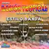 Grupo Ilusión Tropical de Maravillas, Coahuila - Estilo Banda (Cover)