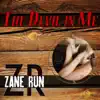 Zane Run - The Devil in Me - Single