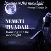 Nemeti Tivadar DJ - Dancing in the Moonlight - Single