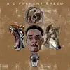 B.Reed - A Different Breed - EP