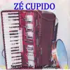 Ze Cupido - Sucessos de Luiz Gonzaga: Vol.2