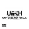 Uriyah - Plant Seeds. Pray for Rain.