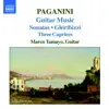 Marco Tamayo - Paganini: Guitar Music