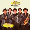 La Nueva Era de la Música Norteña - Huapango del Machin ( El Machiwi) - Single