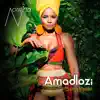 Nomina - Amadlozi (feat. Slam & Mendel) - Single
