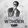 Young Mallie - One Hit Wonder - Single