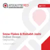 Snow Flakes & Rishabh Joshi - Indian Ocean - Single