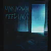 BG - Unknown Feelings - Single