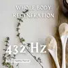 Chakras Healing Channel - 432 Hz Whole Body Regeneration