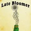 Robin Alice - Late Bloomer - Single