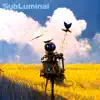 SubLuminal - Kyiv Playground - Single