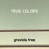 graviola tree - True Colors - Single