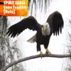 Spirit Eagle - Come Together (Unity) - Single