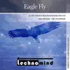 Technomind - Eagle Fly (40 Hz Gamma Synchronization)