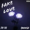 Triss - Fake Love (feat. Snow5d) - Single