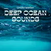 Water Soundscapes, Underwater Sounds Channel & Echoes Of Nature - Deep Ocean Sounds (Underwater)