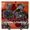 DJ WF & Mc Lk da Capital - B-King Chumbo - Single